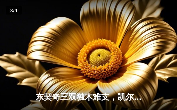 东契奇三双独木难支，凯尔特人主场力克独行侠夺总决赛开门红 - 3